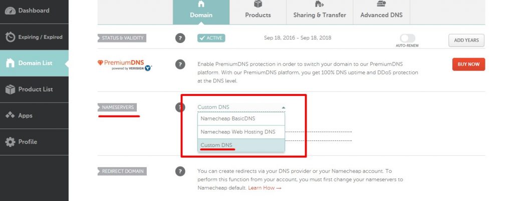 nameserver custom dns