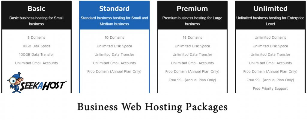 Business Web Hosting