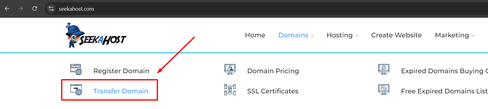 Transfer Domain - Page