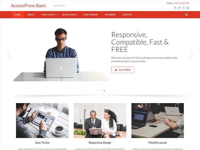 AccessPress Basic WordPress Free Theme