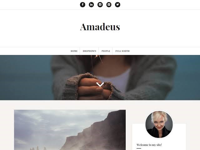 Amadeus Free WordPress Theme