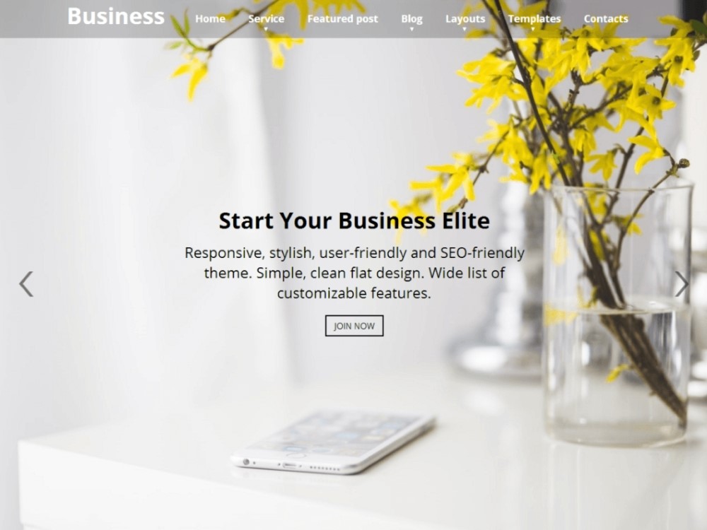 Business Elite Free WordPress Theme