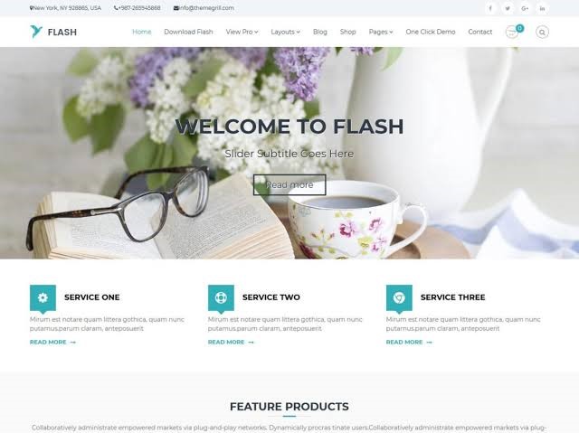 Flash WordPress Theme For Free