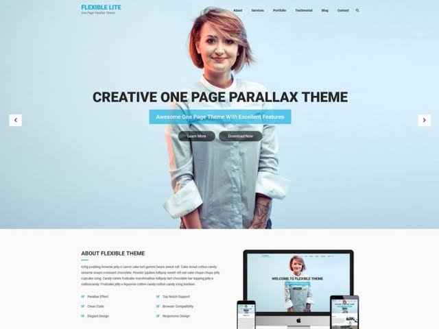 Flexible Lite WordPress Theme for Free