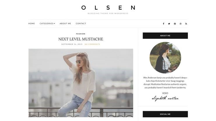 Olsen Light Free Theme For Lifestyle