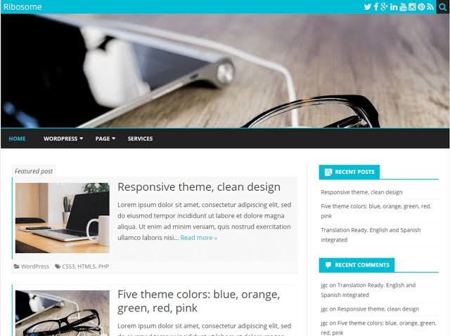 Ribosome Free WordPress Theme