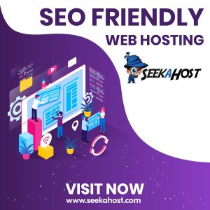 SEO Friendly Web Hosting