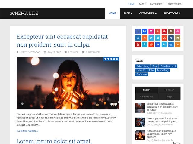 Schema Lite - Free WordPress Theme