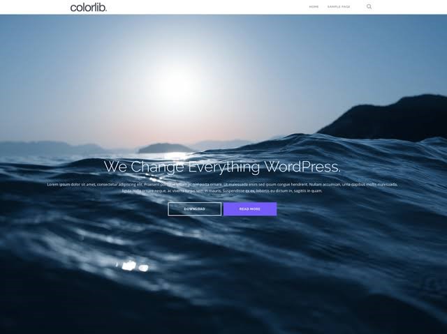 Shapely Theme for WordPress