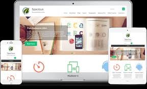 Spacious - SEO Friendly Theme