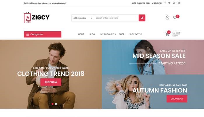 Zigcy WordPress Theme For Free