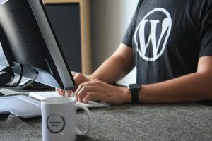 Wordpress website consultant