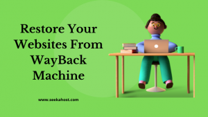 Restore Your Websites From WayBack Machine