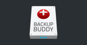 Backupbuddy wordpress plugin