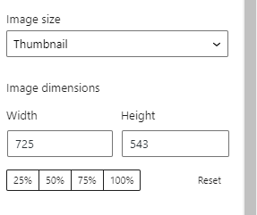 Correct Image Size in WordPress