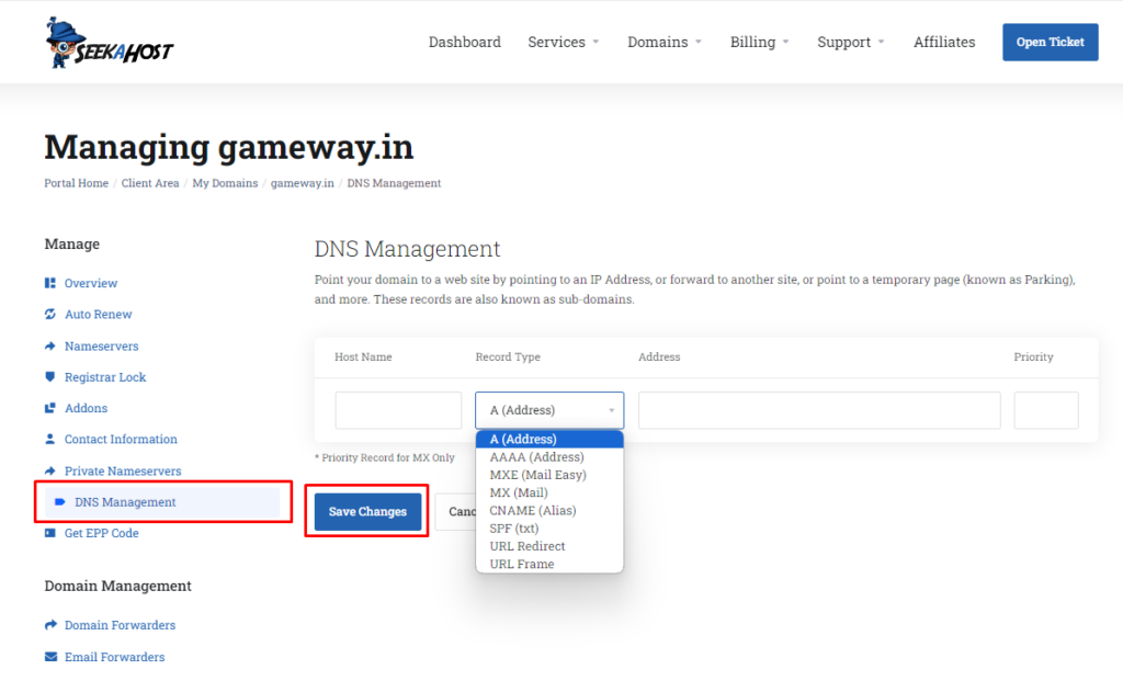 DNS Management - SeekaHost