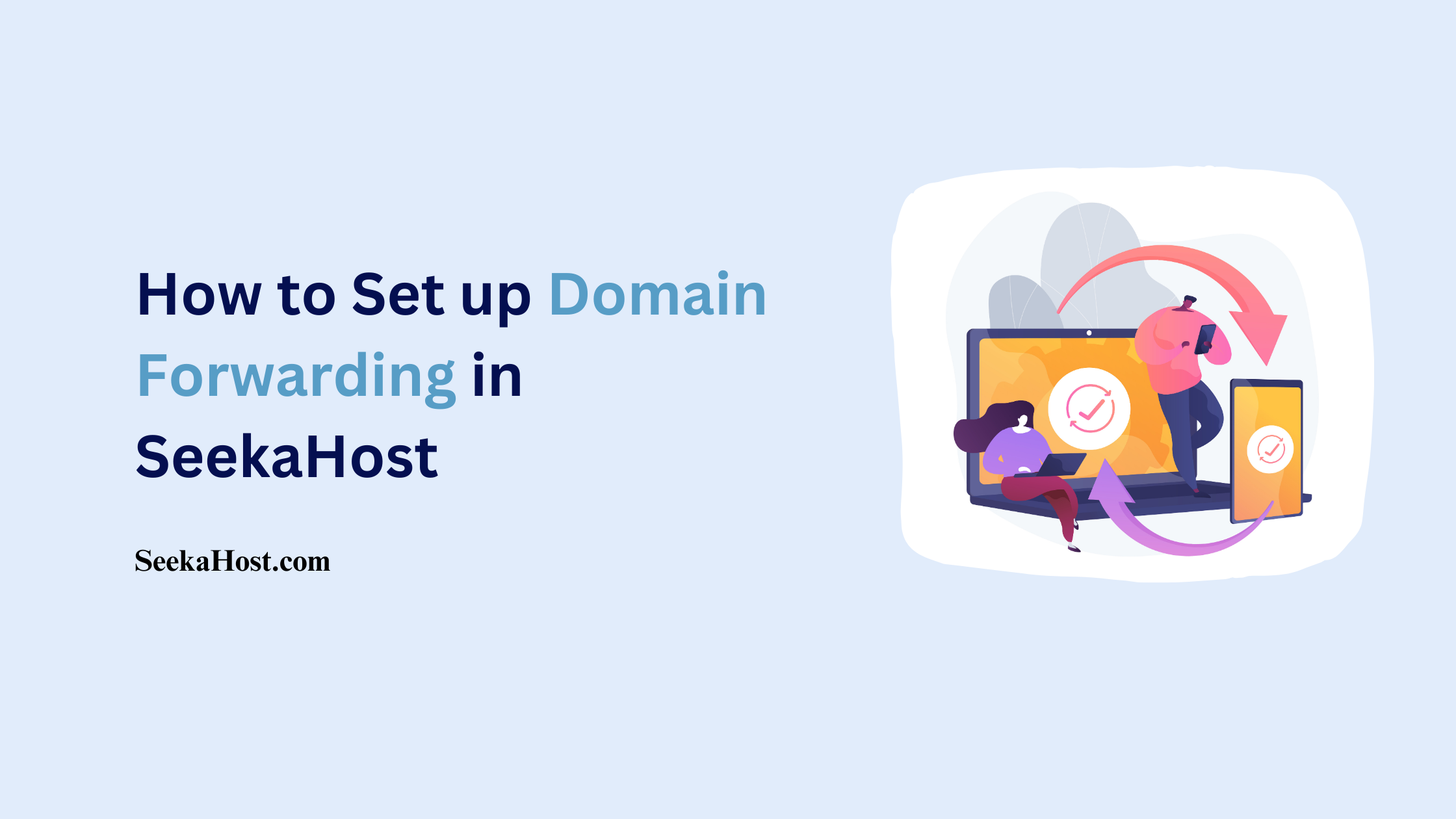 Set up Domain Forwarding in SeekaHost