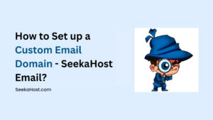 How to Set up a Custom Email Domain - SeekaHost Email