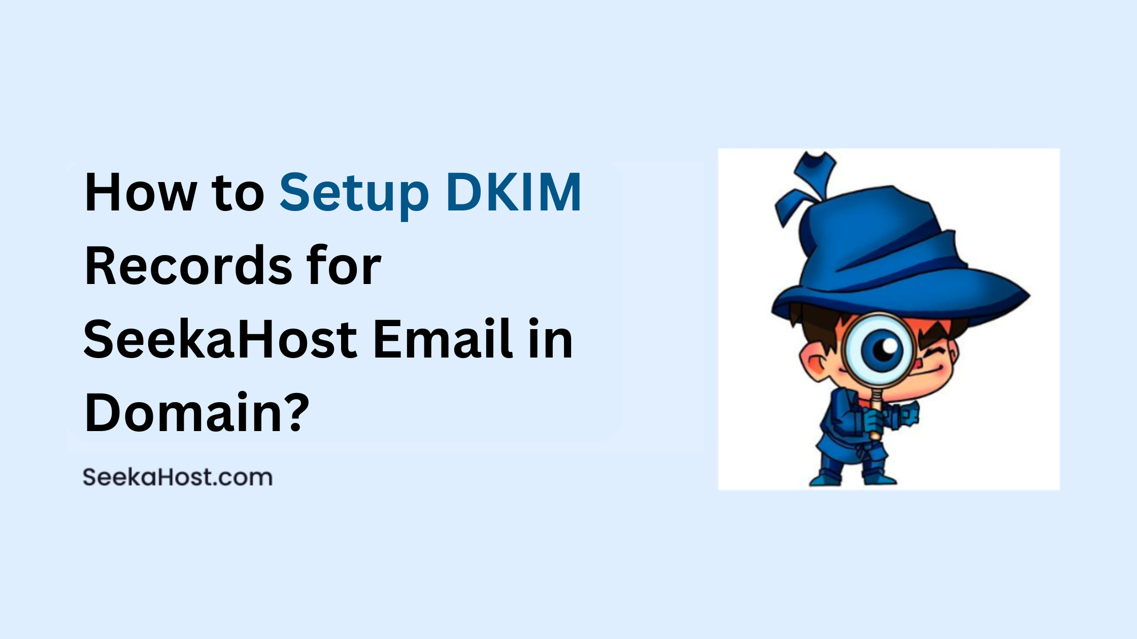 How to Setup DKIM Records for SeekaHost Email in Domain