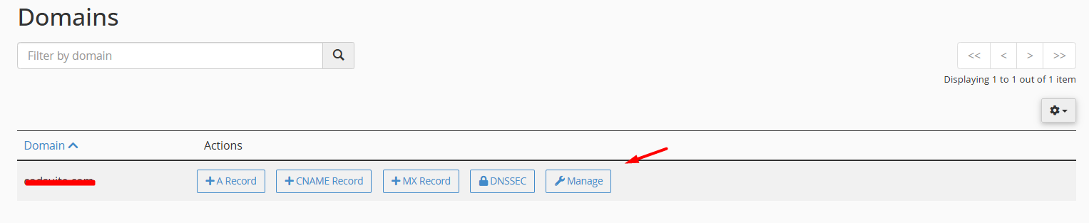 Manage DNS Records- cPanel