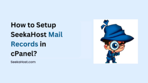 How to Setup SeekaHost Mail Records in cPanel